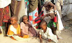 کمک 383 میلیون ریالی مردم چهارمحال و بختیاری به سومالیاییها